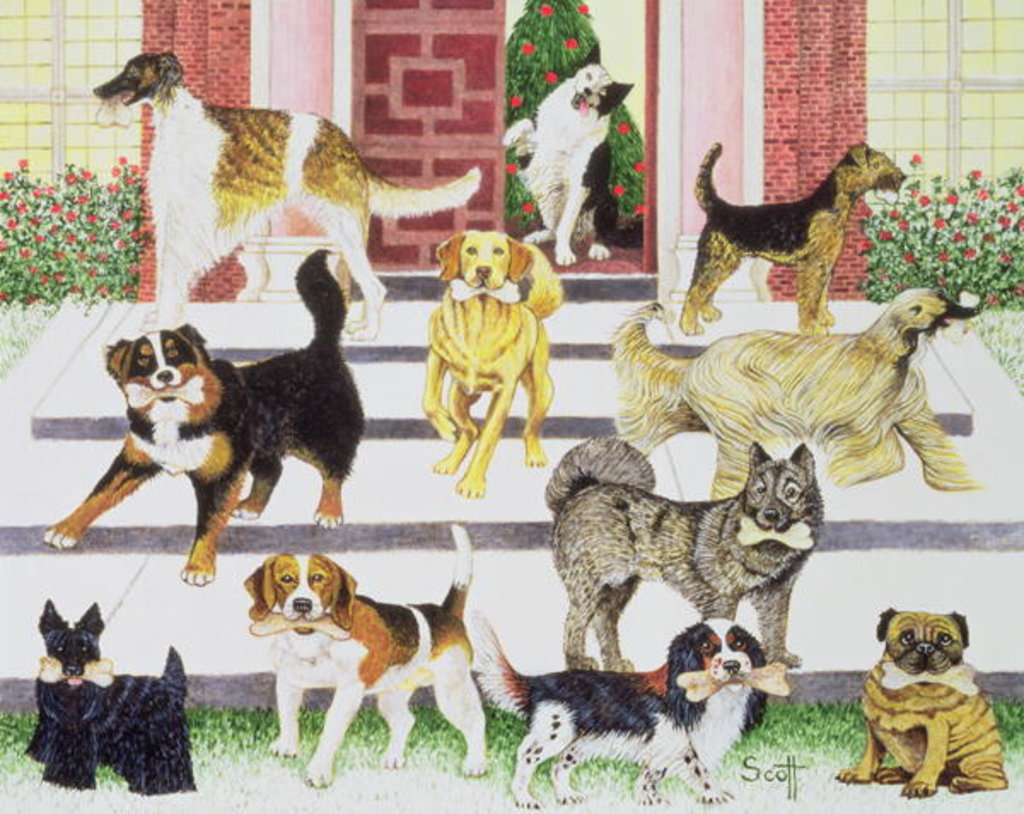 Detail of Party Presents by Pat Scott