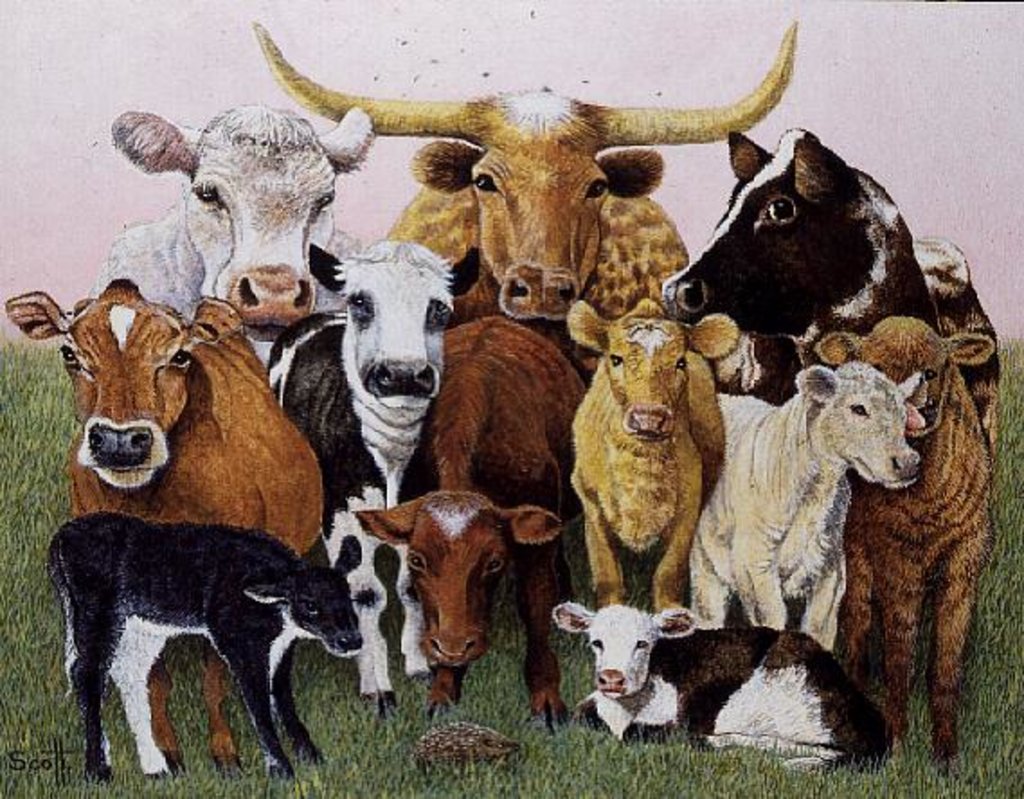 Detail of A Surprising Stranger by Pat Scott