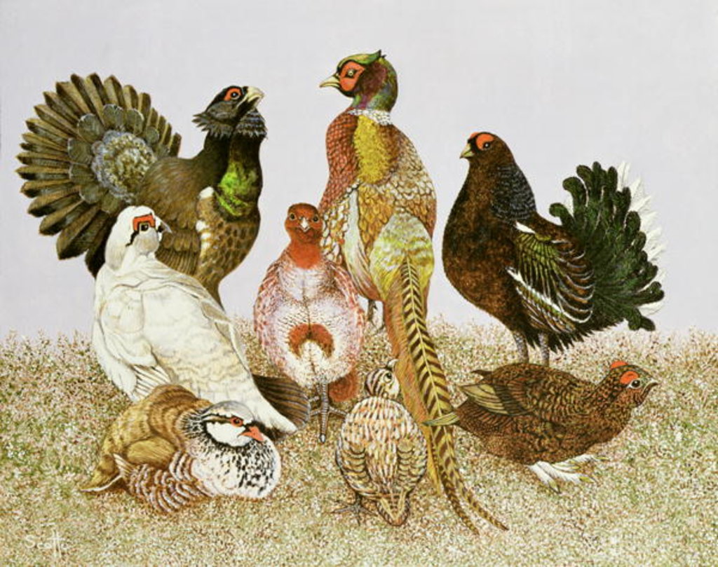 Detail of Game Birds by Pat Scott