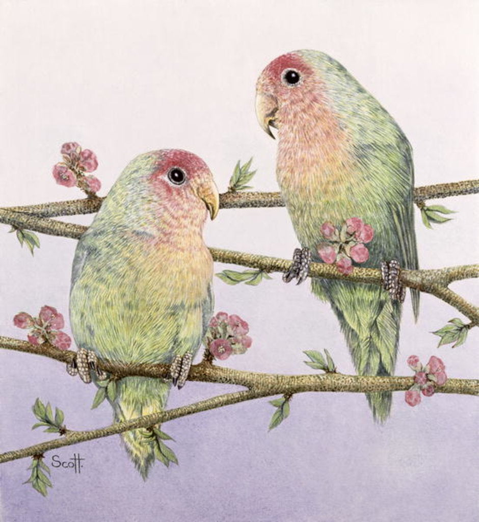 Detail of Love Birds by Pat Scott