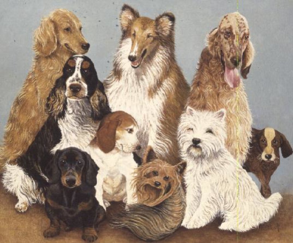 Detail of Dogs' Dinner by Pat Scott