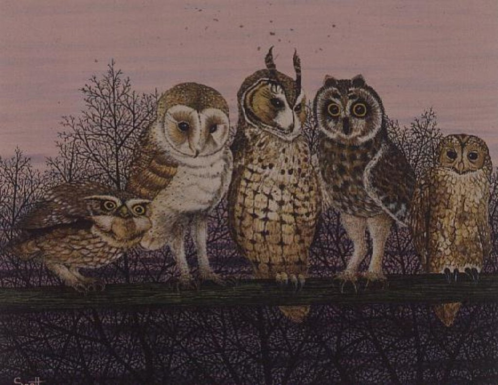 Detail of Tu-whit Tu-whooing by Pat Scott