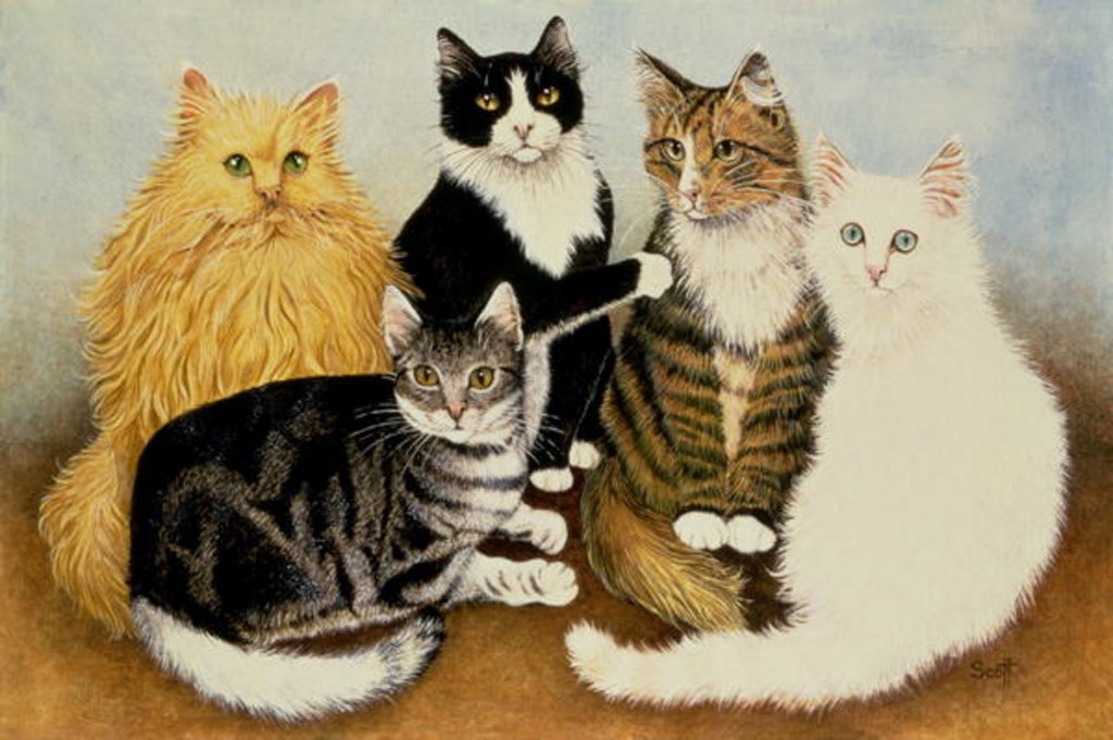 Detail of Cat's Cradle by Pat Scott