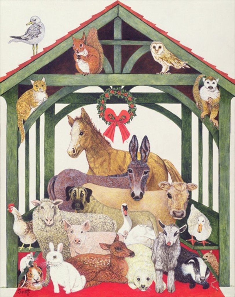 Detail of Sheltered by Pat Scott