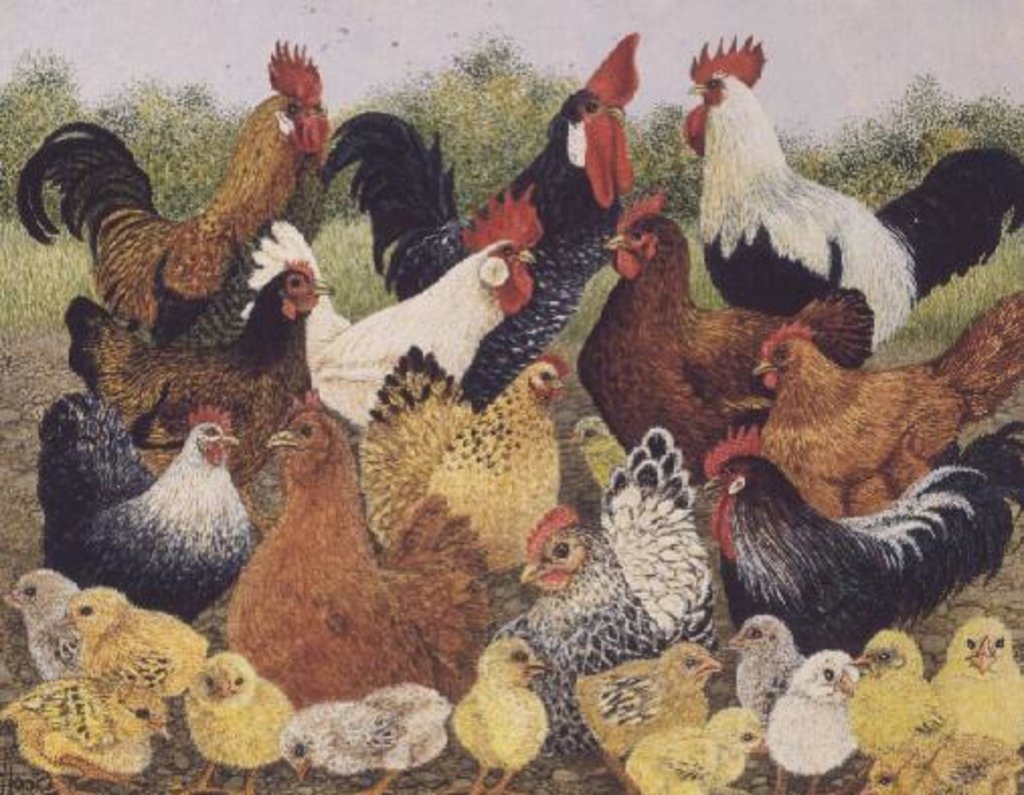 Detail of Something to Crow About by Pat Scott
