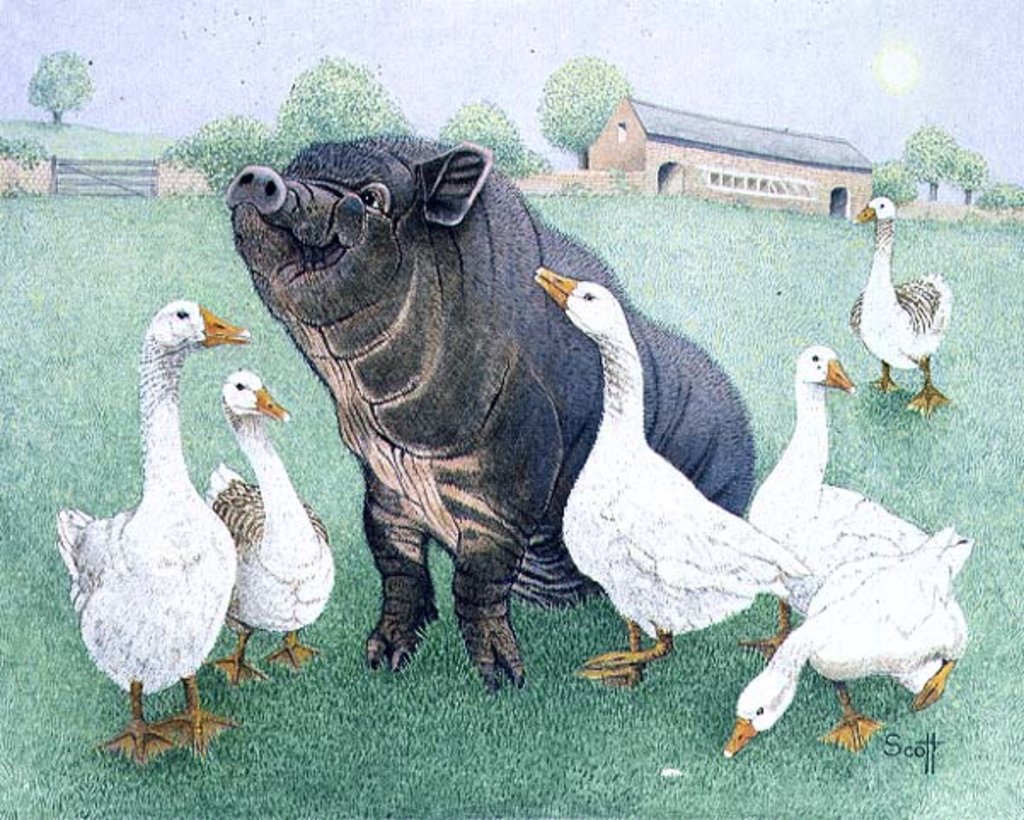 Detail of Tasty Morsel by Pat Scott