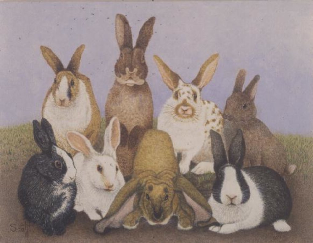 Detail of Lucky rabbits by Pat Scott
