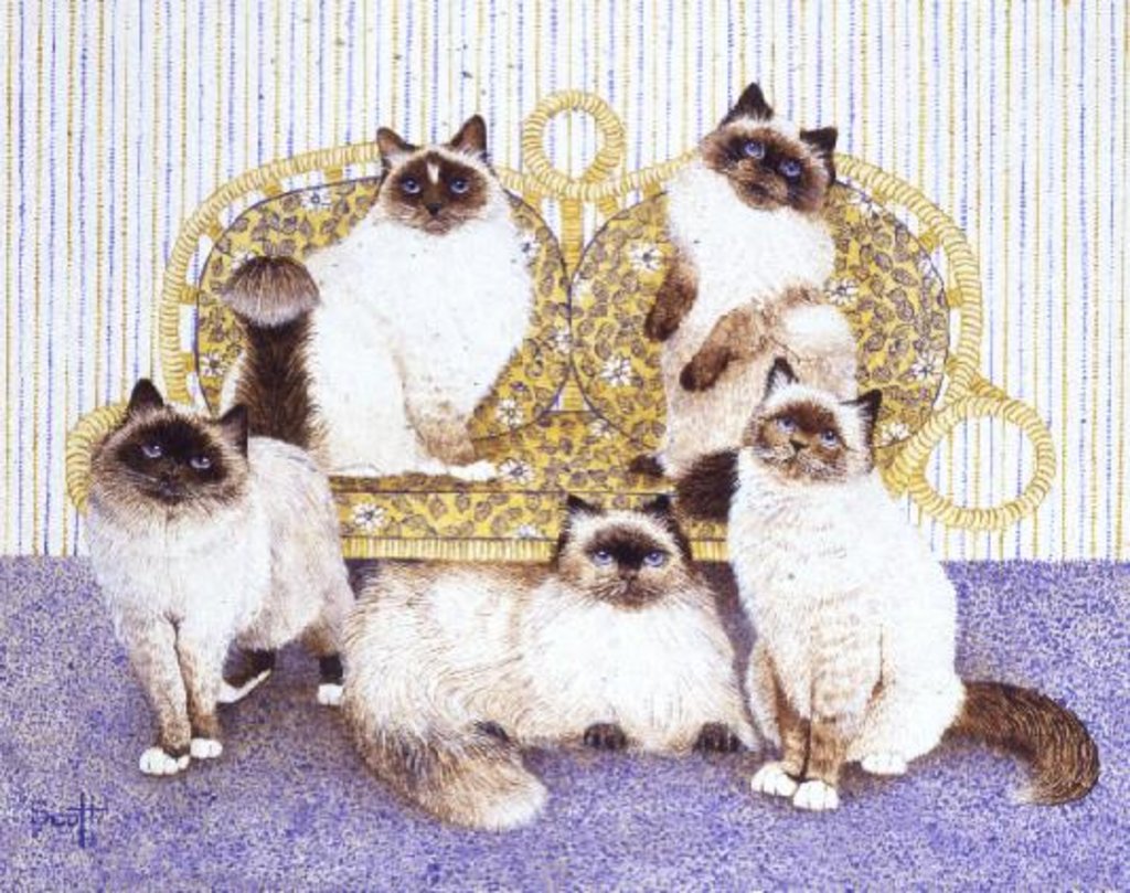 Detail of Chocolate creams by Pat Scott