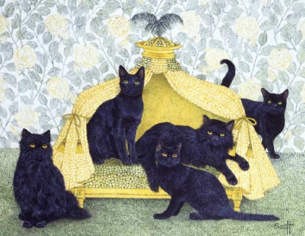 Detail of Black velvet by Pat Scott