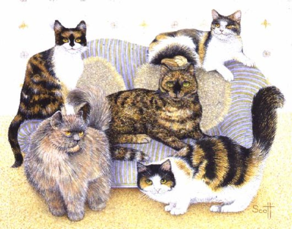 Detail of Tortoiseshell ladies by Pat Scott