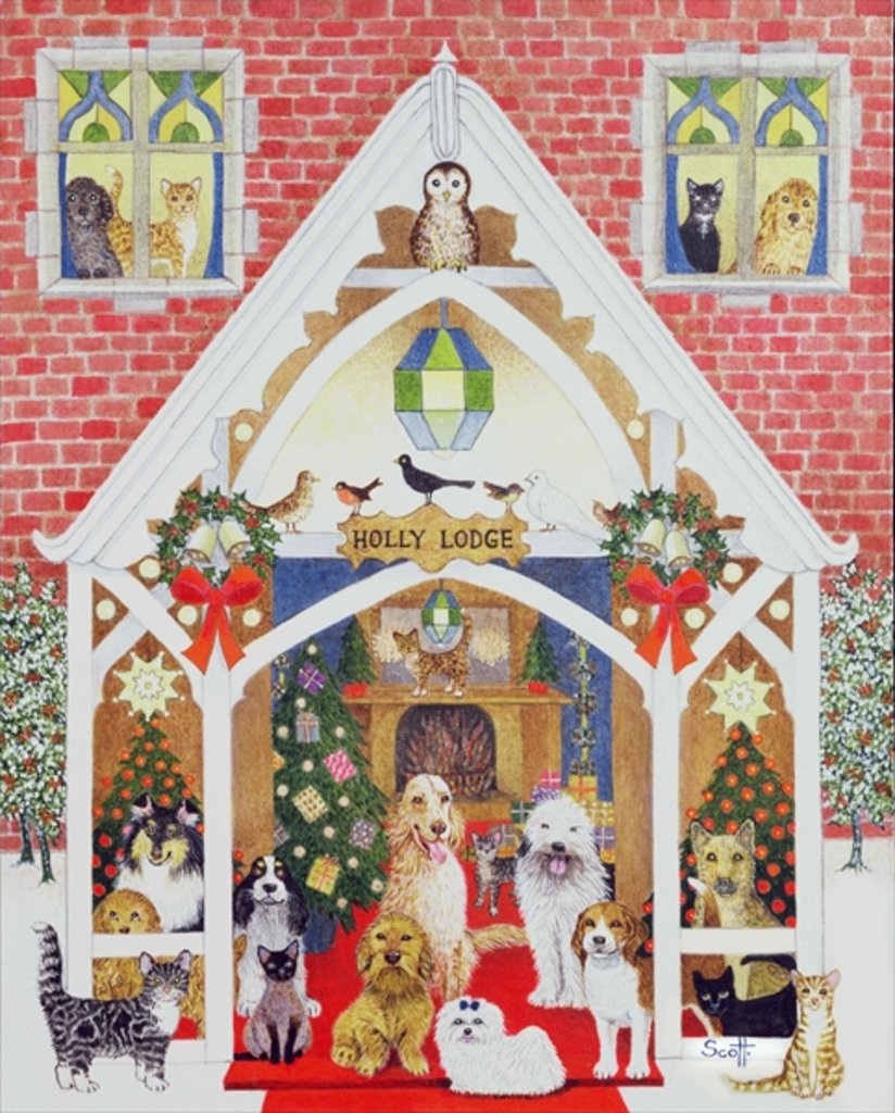 Detail of Black and white whiskers by Pat Scott