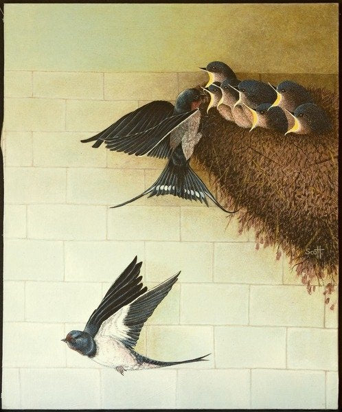 Detail of Hungry Mouths, 2011 by Pat Scott