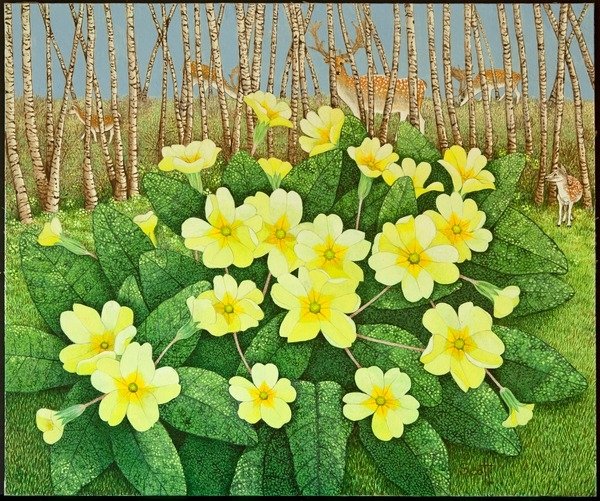 Detail of Looking Hopeful, 2011 by Pat Scott