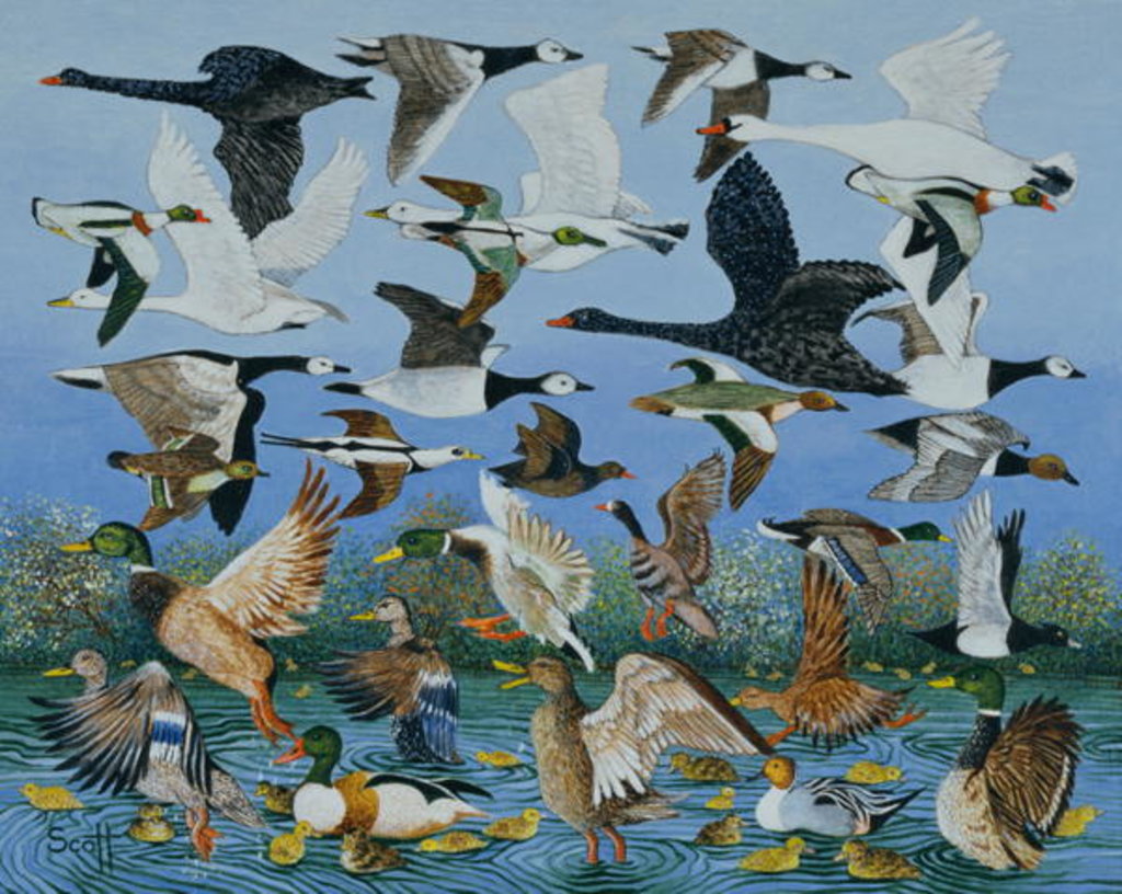 Detail of Taking Off, 1996 by Pat Scott