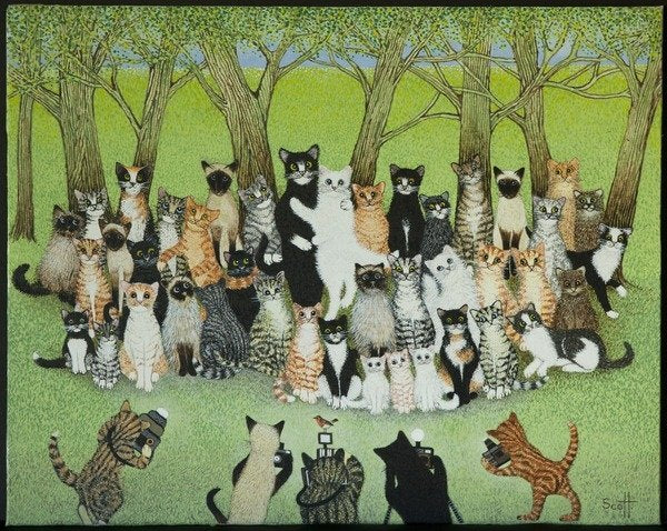 Detail of Watch the Birdie by Pat Scott