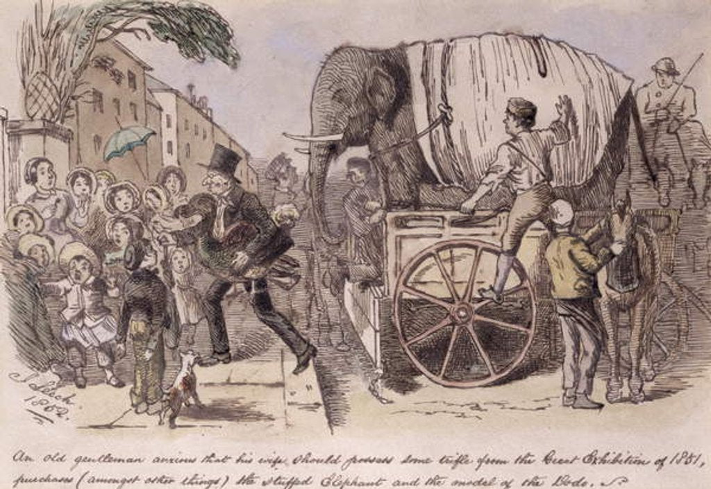 Detail of An old gentleman anxious that his wife should possess some trifle from the Great Exhibition of 1851, purchases the stuffed elephant and the model of the dodo by John Leech