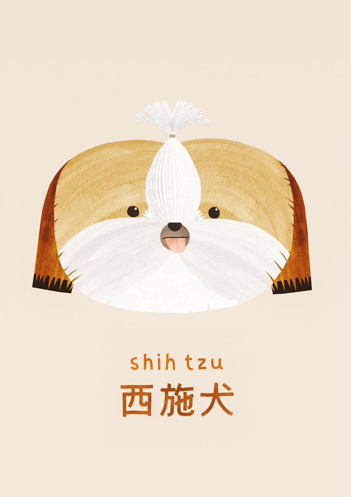 Detail of Shih tzu, 2019 by Léa Le Pivert