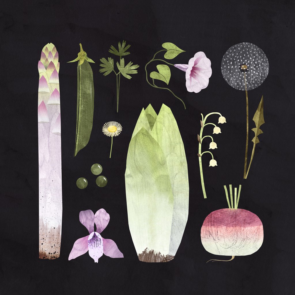 Detail of Veggies and Blooms, 2023 by Léa Le Pivert
