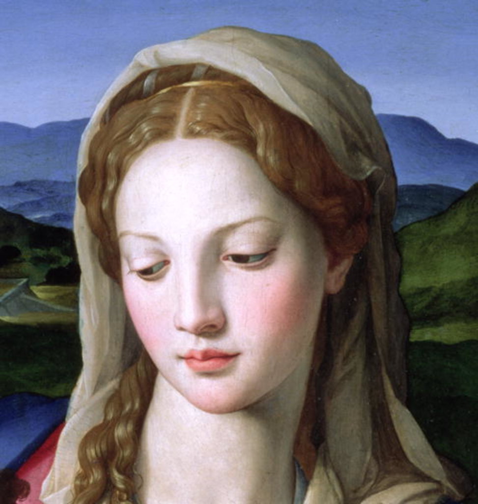 Detail of Holy Family with St. Anne and the infant St. John the Baptist, c.1550 by Agnolo di Cosimo Bronzino