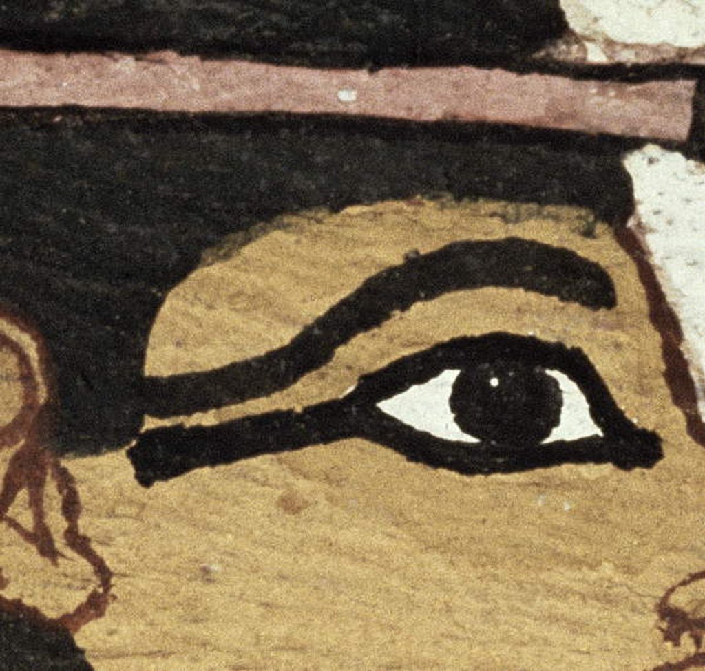 Detail of Detail of the decoration of a sarcophagus of The Lady of Madja, New Kingdom, c.1450 BC by Egyptian 18th Dynasty
