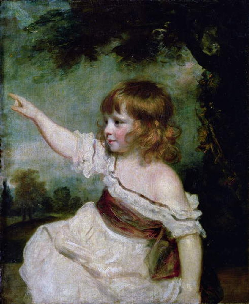 Detail of Portrait of Francis George Hare, oldest son of Francis Hare Naylor 1788-9 by Joshua Reynolds