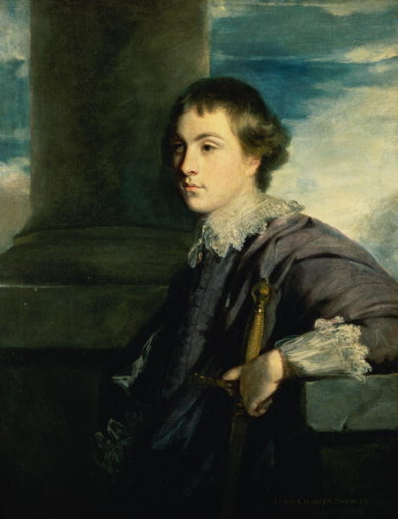 Detail of Portrait of John Charles Spencer, Lord Althorp by Joshua Reynolds