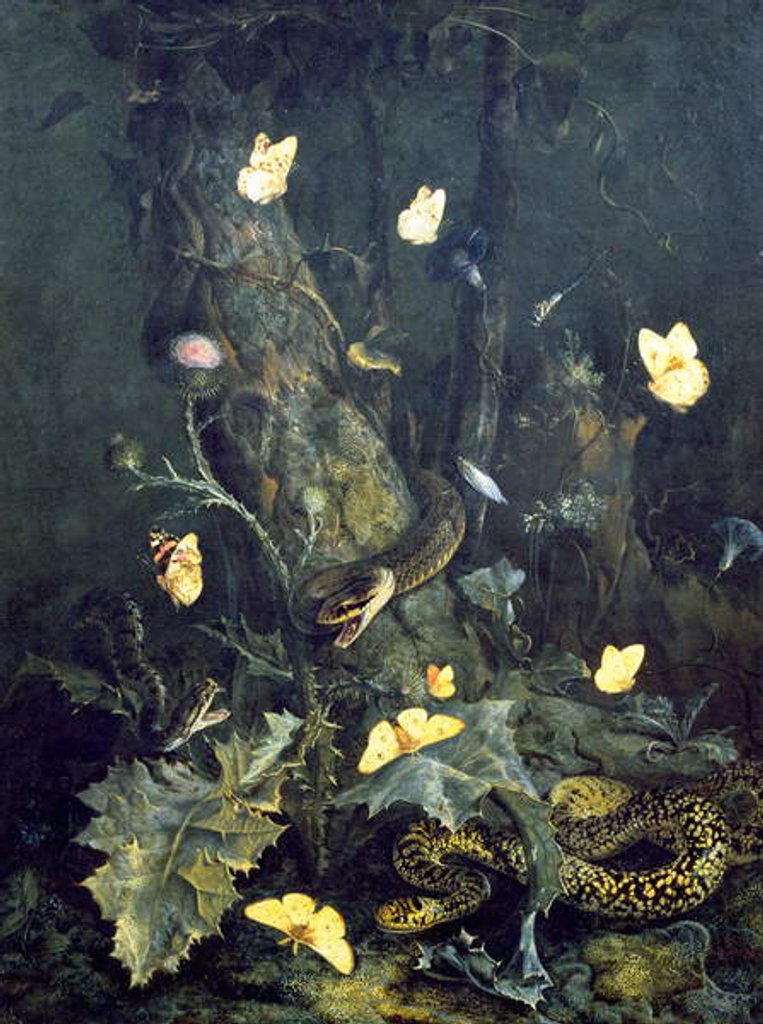 Detail of Snakes and Butterflies, 1670 by Otto Marseus van Schrieck