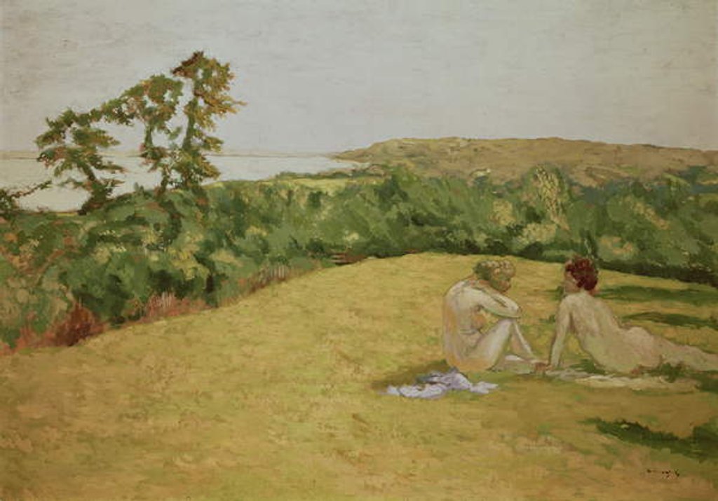 Detail of Coastline by Ker Xavier Roussel