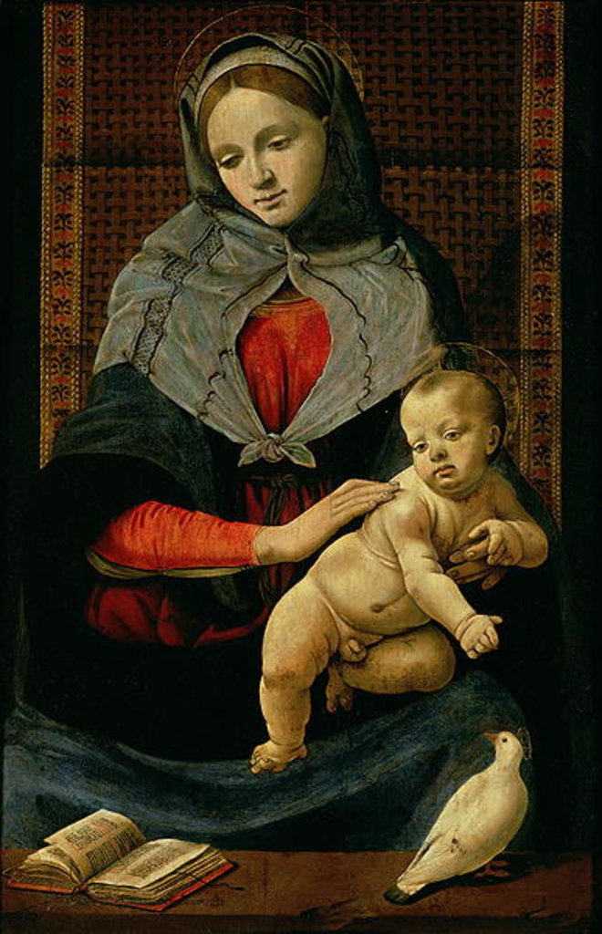 Detail of Madonna and Child with a Dove by Piero di Cosimo