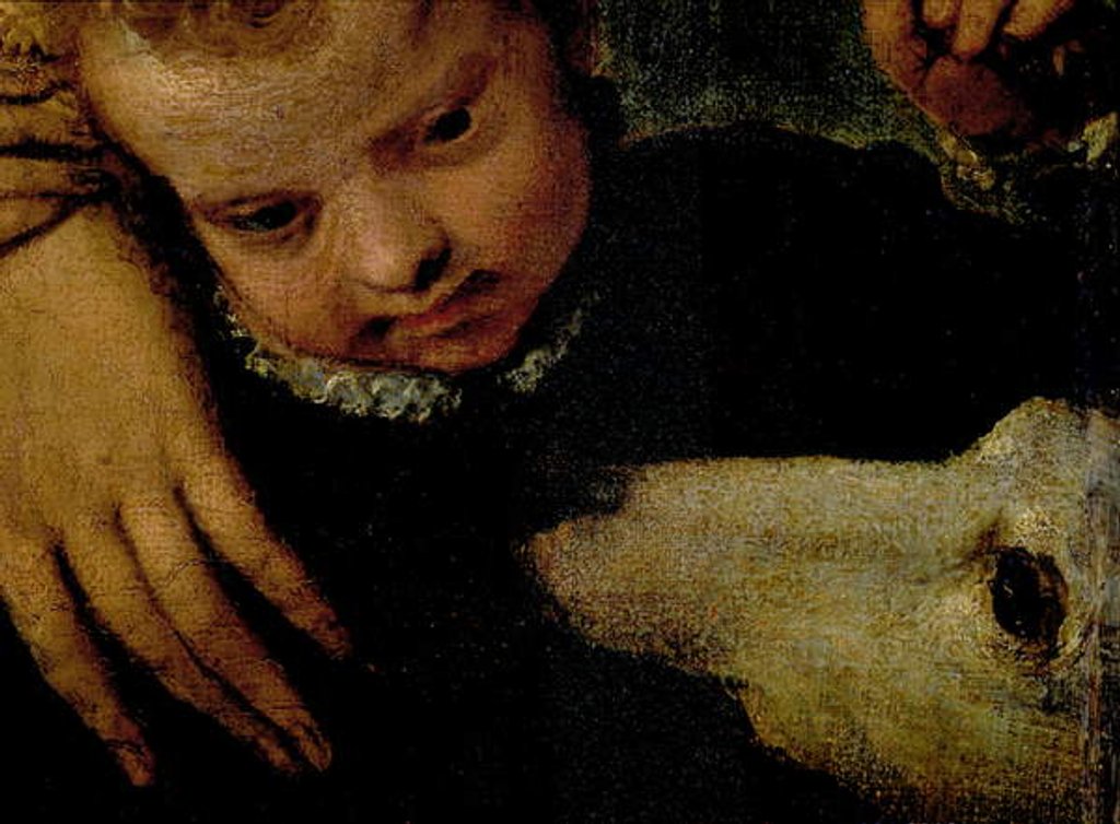 Detail of Portrait of a Woman with a Child and a Dog by Veronese
