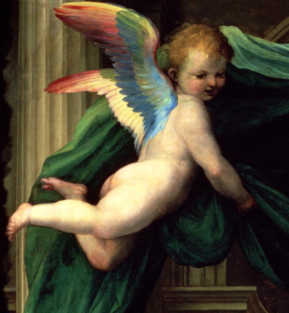 Detail of The Mystic Marriage of St. Catherine of Siena with Saints, detail of an angel, 1511 by Fra (1472-1517) Bartolomeo