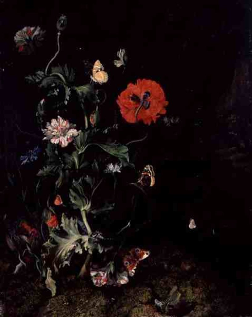 Detail of Forest Floor Still Life with Flowers and Butterflies by Rachel Ruysch