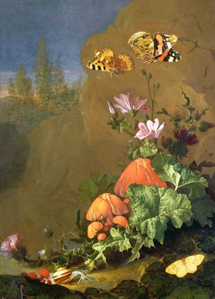 Detail of Still Life of Forest Floor with Flowers, Mushrooms and Snails by Elias van den Broeck