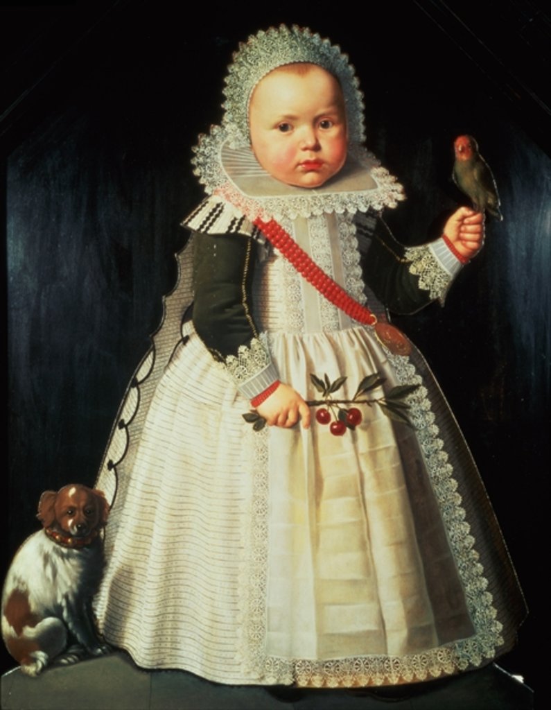 Detail of Portrait of a young boy holding a parrot by Wybrand Simonsz. de Geest