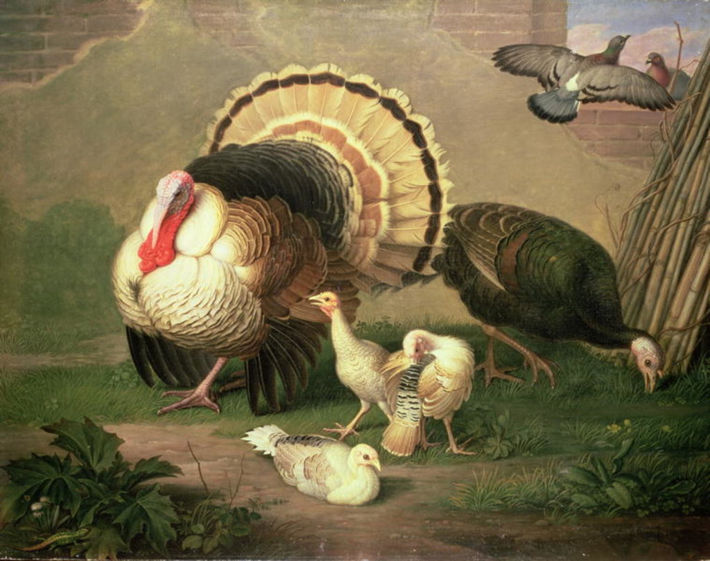 Detail of Turkeys by Johan Wenzel Peter