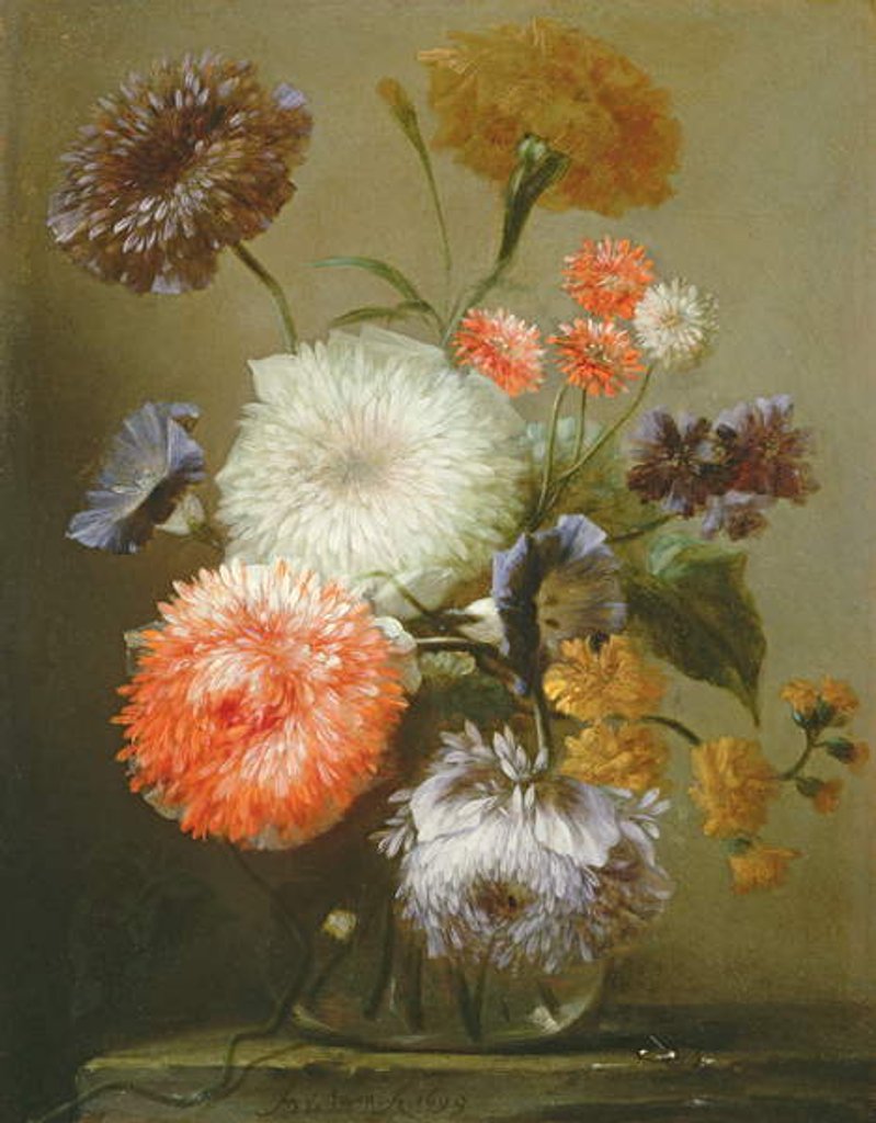Detail of Still Life of Flowers, 1699 by Franz Werner Tamm