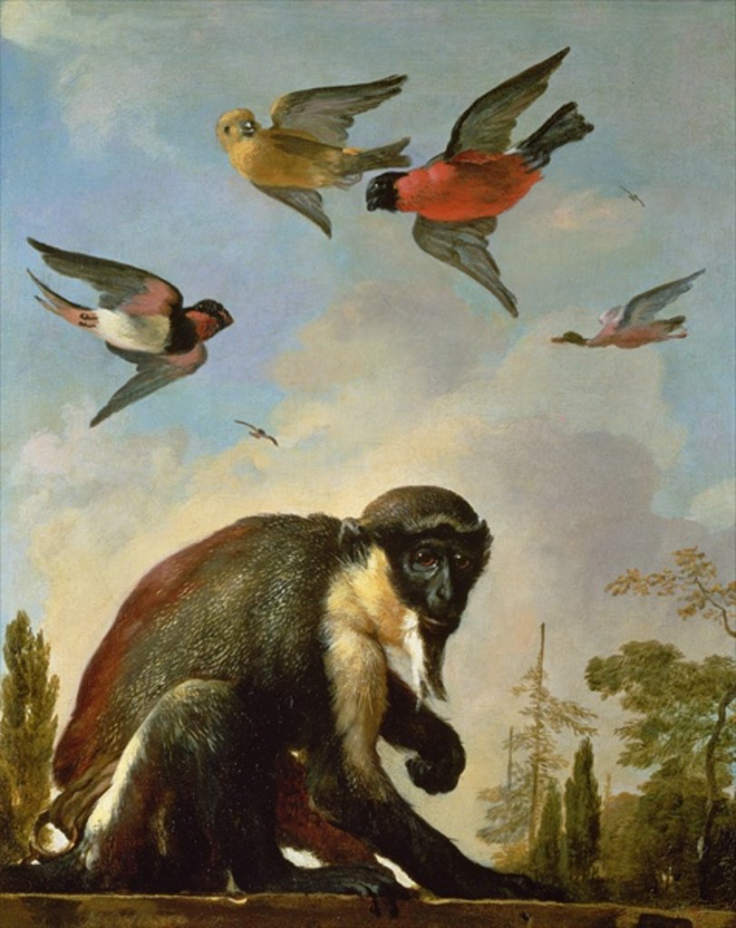 Detail of Chained monkey in a landscape by Melchior de Hondecoeter