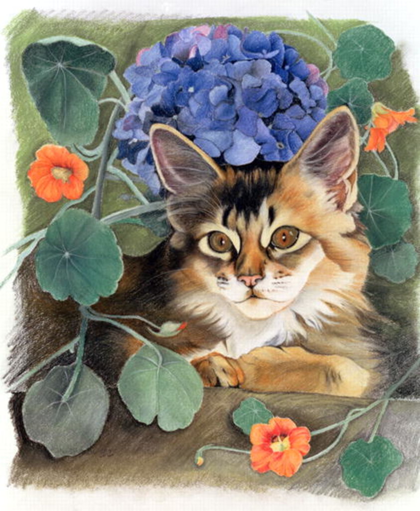 Detail of Sootsy with Hydrangea by Anne Robinson