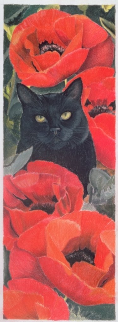 Detail of Black Cat with Poppies by Anne Robinson