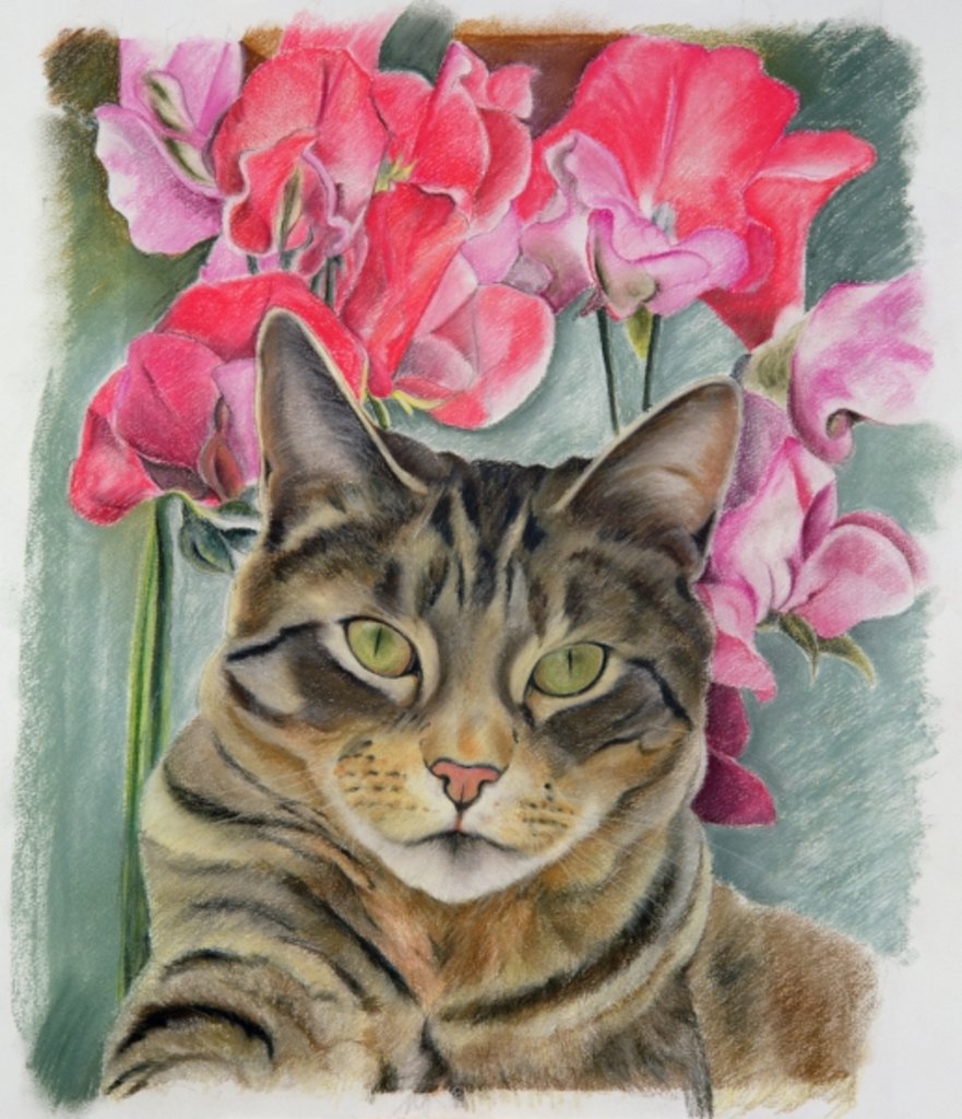 Detail of Cat with sweet peas by Anne Robinson