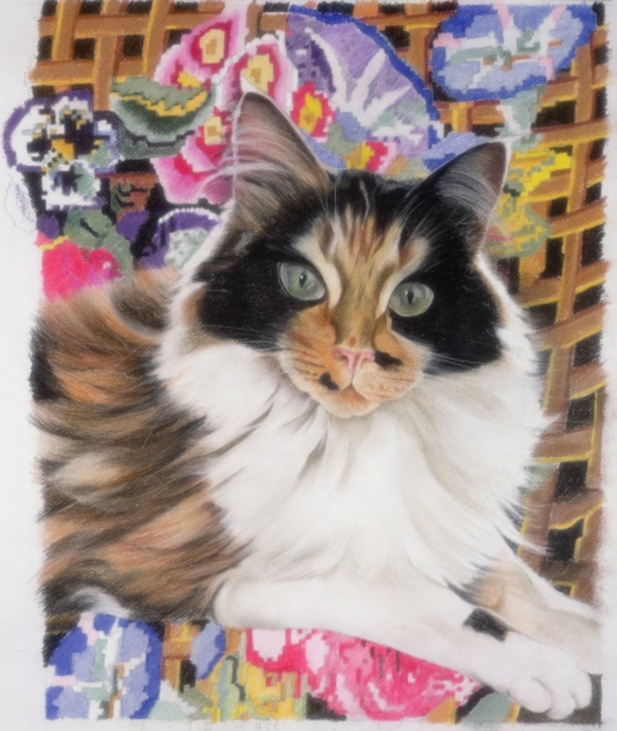 Detail of Cleo by Anne Robinson