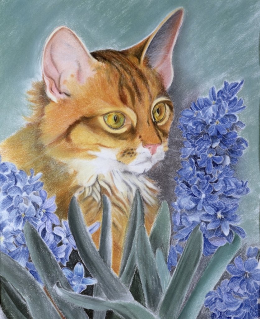 Detail of Tosca by Anne Robinson