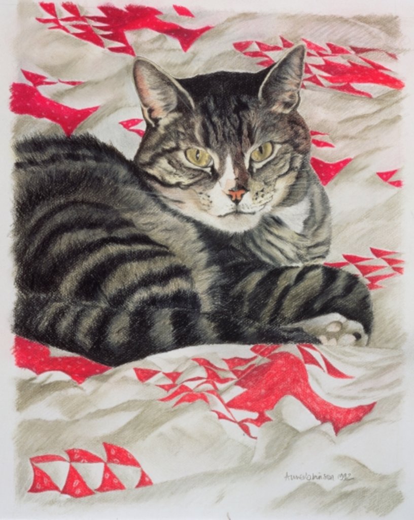 Detail of Cat on quilt by Anne Robinson