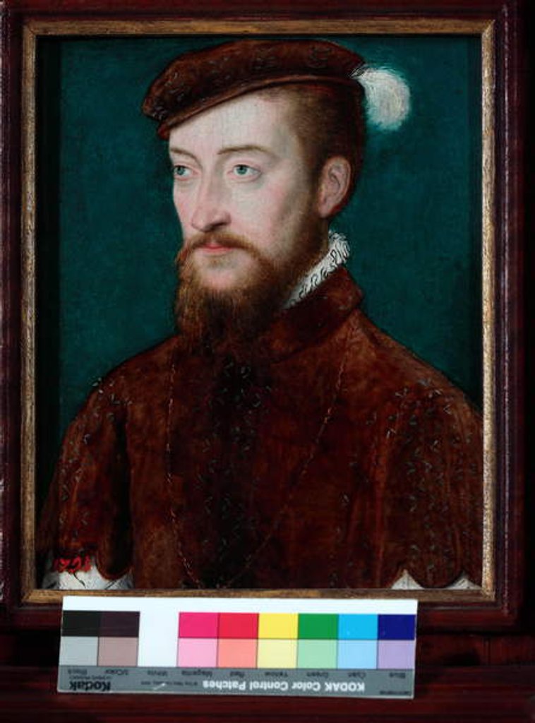 Detail of Portrait of Antoine de Bourbon, 1548 by Corneille de Lyon