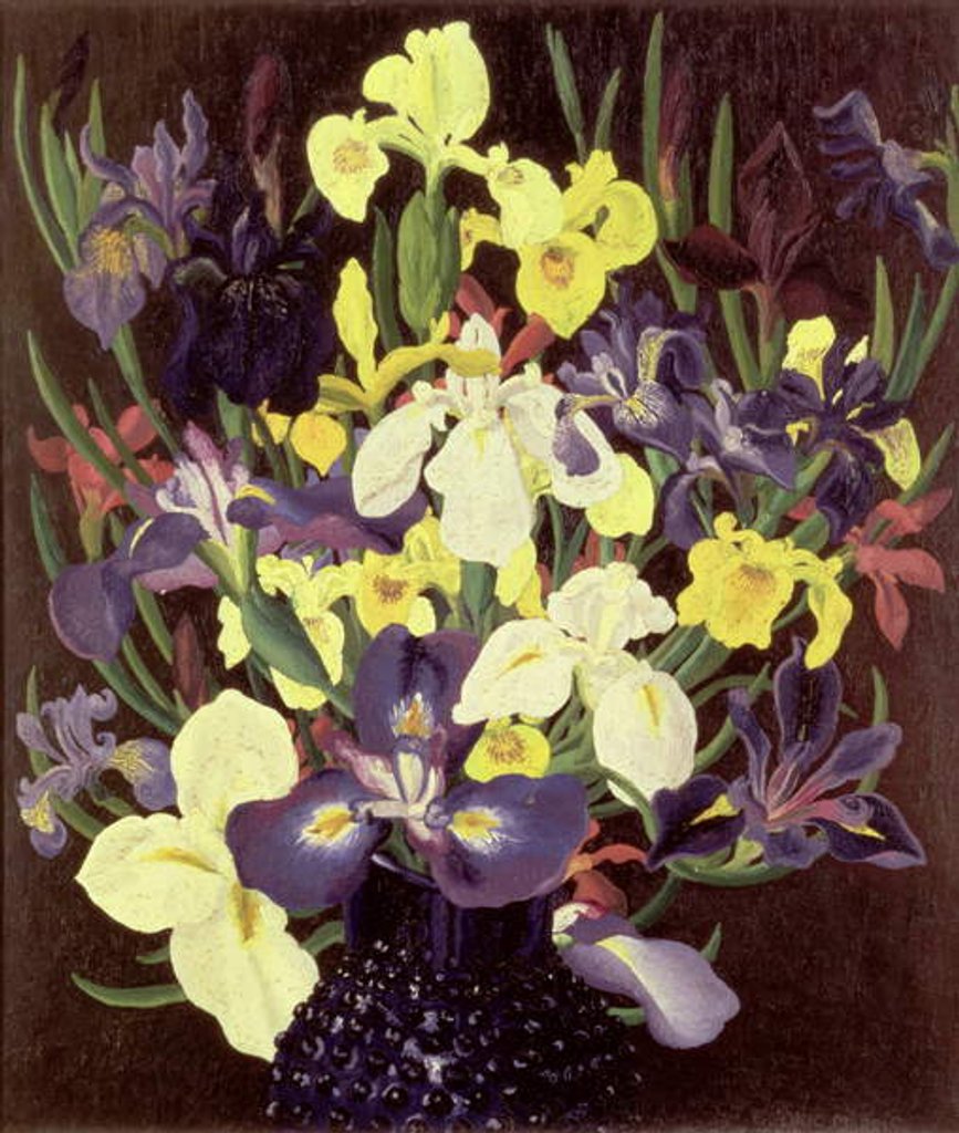 Detail of Group of Irises, c.1940 by Cedric Morris