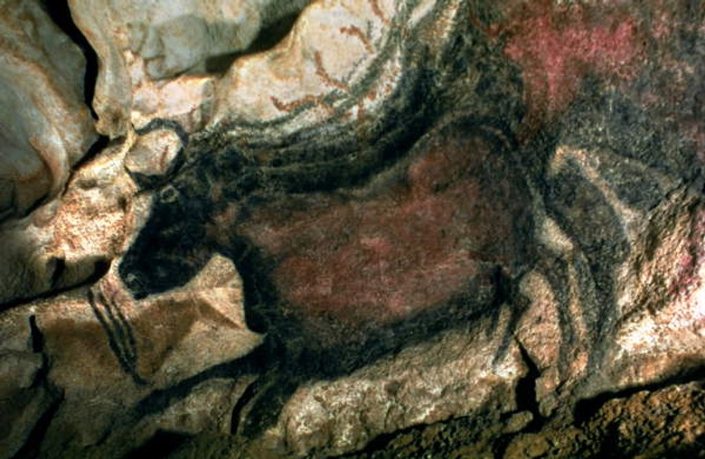 Detail of Rock painting of a black bull, c.17000 BC by Prehistoric Prehistoric
