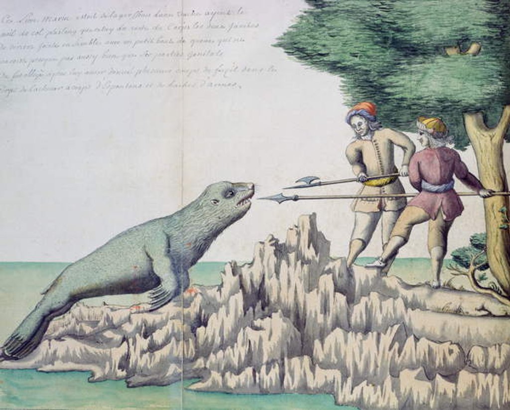 Detail of Sea Lion near the Strait of Magellan by French School