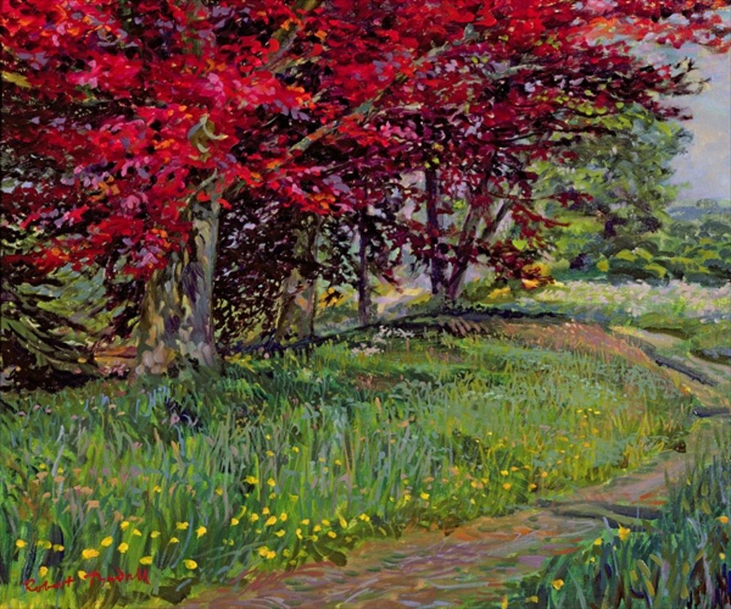 Detail of Copper Beeches, New Timber, Sussex by Robert Tyndall