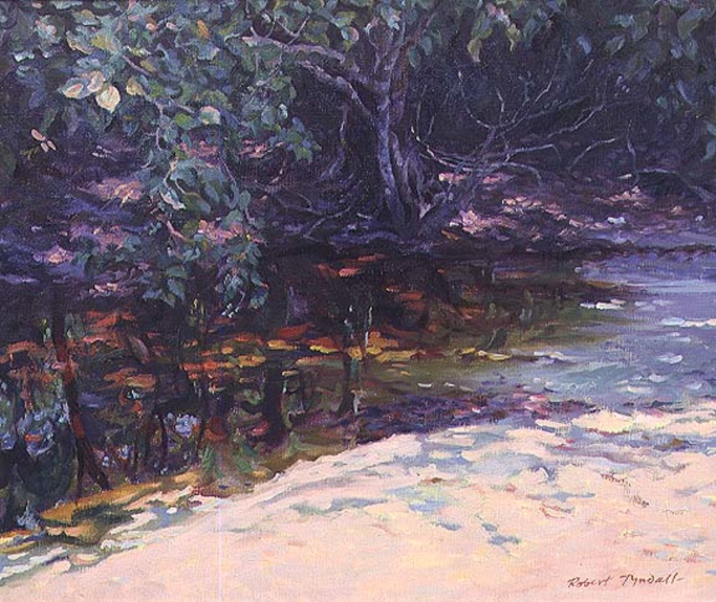 Detail of Beach and Rain Forest, Cape Tribulation, Northern Queensland, Australia by Robert Tyndall