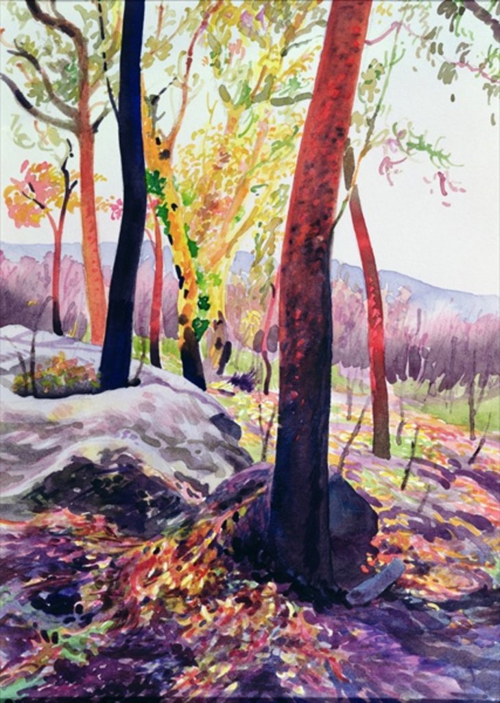 Detail of Bush Fire Survivors, Sydney, 1994 by Robert Tyndall